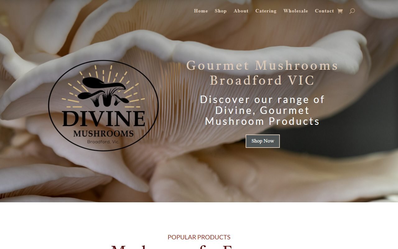 Divine Mushrooms homepage, with its logo over a close-up of oyster mushrooms