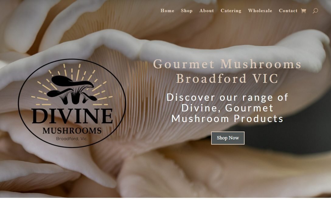 Divine Mushrooms homepage, with its logo over a close-up of oyster mushrooms