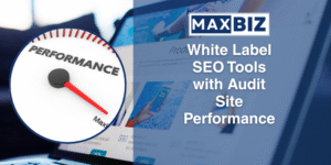 White Label SEO Tools with Audit Site Performance - MaxBiz