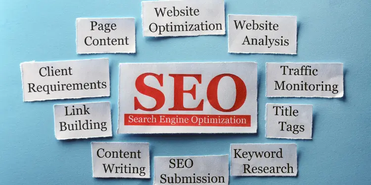 SEO Management Services to Dominate Search Results